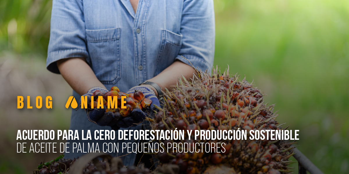 Acuerdo para la cero deforestación y producción sostenible de aceite de palma