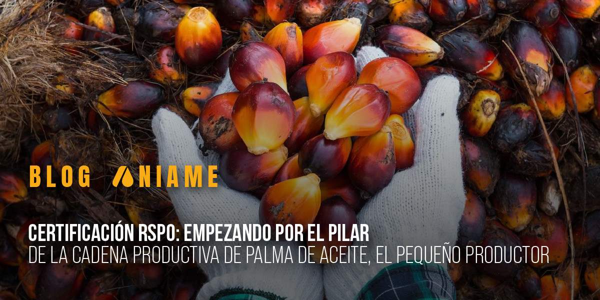 Certificación RSPO: empezando por el pequeño productor