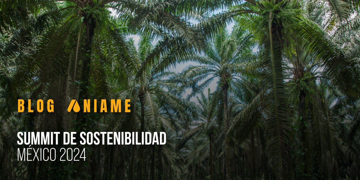 Summit de Sostenibilidad México 2024: encuentro para la acción y el compromiso
